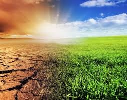 CLIMATE CHANGE AND ITS IMPACT ON AGRICULTURE  IN INDIA'S NORTHERN PLAINS
