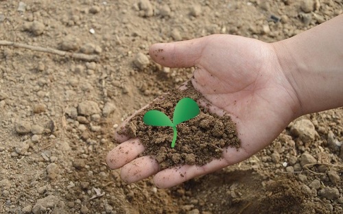 कृषि में जैव उर्वरक की भूमिका : एक अध्ययन