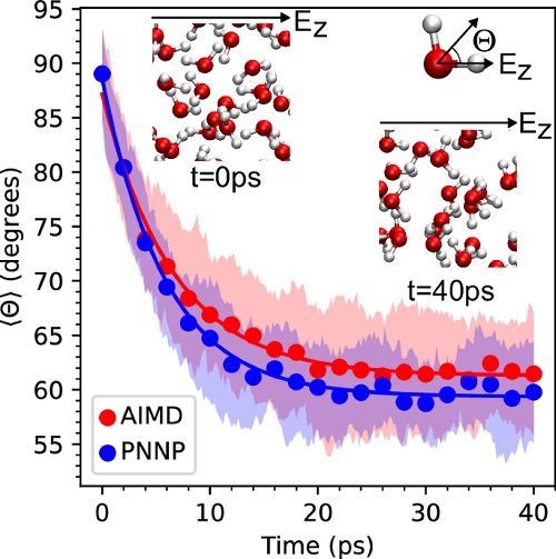 MACHINE LEARNING–DRIVEN ANALYSIS OF ENERGETIC FIELD DYNAMICS  IN ELECTROPHYSIOLOGICAL SYSTEMS
