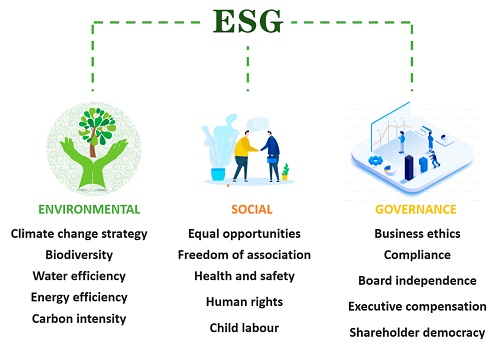 “THE ROLE OF ESG FACTORS IN SHAPING INVESTOR DECISION-MAKING:  A FOCUS ON SOCIAL AND GOVERNANCE ASPECTS”