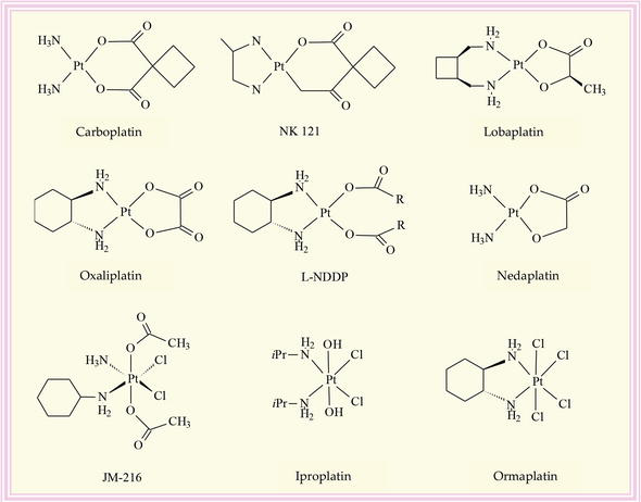 BIOINORGANIC MODELLING OF METALLOENZYMES USING COPPER  AND ZINC COMPLEXES