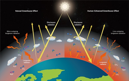 Climate Change Debate in the Perspective of Global Climate Negotiations 