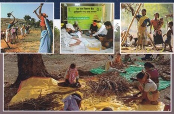 AN APPRAISAL OF IMPLEMENTATION ISSUES OF TRIBAL SKILL  DEVELOPMENT PROGRAMMES IN THE NAGPUR AREA