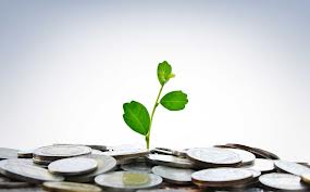 ANALYSIS OF ECONOMIC VIABILITY FOR LONG-TERM INVESTMENT