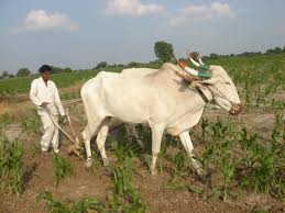 मराठवाडा मागासलेले कृषीक्षेत्र