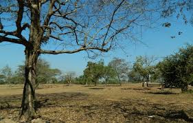 ASTUDYOFCHANGES IN GENERALLANDUSE  P A TTERN OF  AHMEDNNAGAR DISTRICT