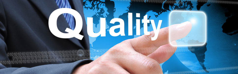 QUALITY OF CUSTOMER RELATIONSHIP IN BEAUTY SALONS IN MEDICI'S CITY (Brazil)