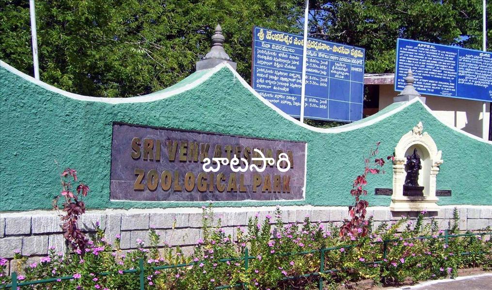 FLORISTIC ENUME RA TION OFSRI VENKA TESW ARA ZOOLOGICALP ARK FOR THE FUTURE CONSERV A TION  OFBIODIVERSITY