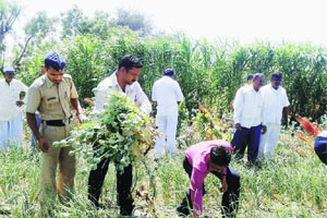 VILLAGE LEVEL SPATIO-TEMPORALANALYSIS OF LITERACY IN SANGLI DISTRICT