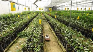 IMPACT OF SHG FINANCE ON AGRICULTURE IN BELGAUM DISTRICT