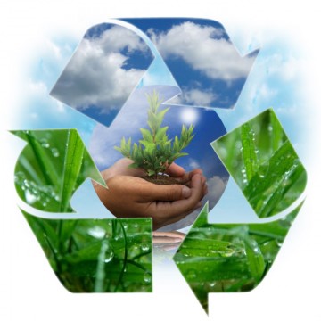 SOCIO-ECONOMIC AND ENVIRONMENTAL IMPACT: A STUDY OF TEA GARDENS IN SIKKIM
