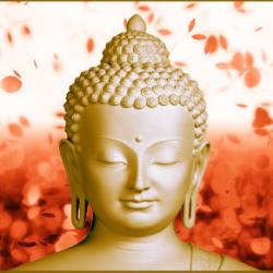 THE W A Y TO DESTRUCTION OFCNKERS (ASA V A) IN BUDDHISTPHILOSOPHY