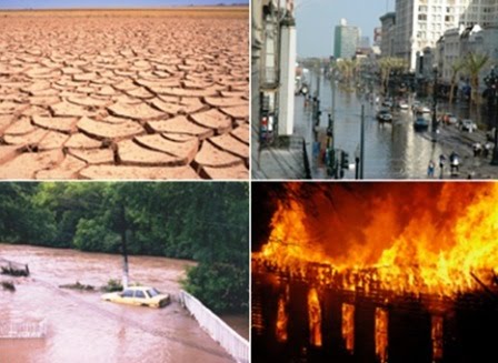 VOLUNTEERS’OPINIONS REGARDING  ENVIRONMENT ALPROBLEMS: ASTUDYOF NGOs IN SA T ARADISTRICT