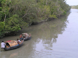 SMALL ISLAND INSULARITY: A CASE STUDY ON CHUKSAR ISLAND, HUGLI ESTUARY