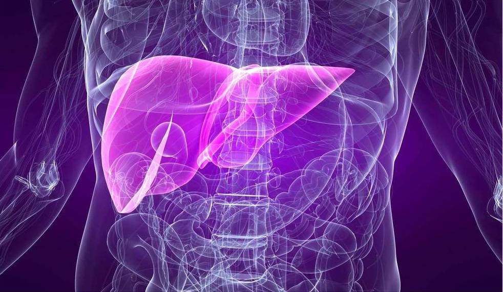 EVLUATION OF HEPATOPROTECTIVE ACTVITY OF CASSIA TORA ROOT