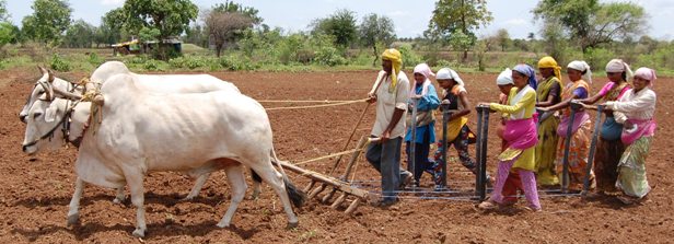 शेतकरी  संगठना एक आर्थिक चळवळ  