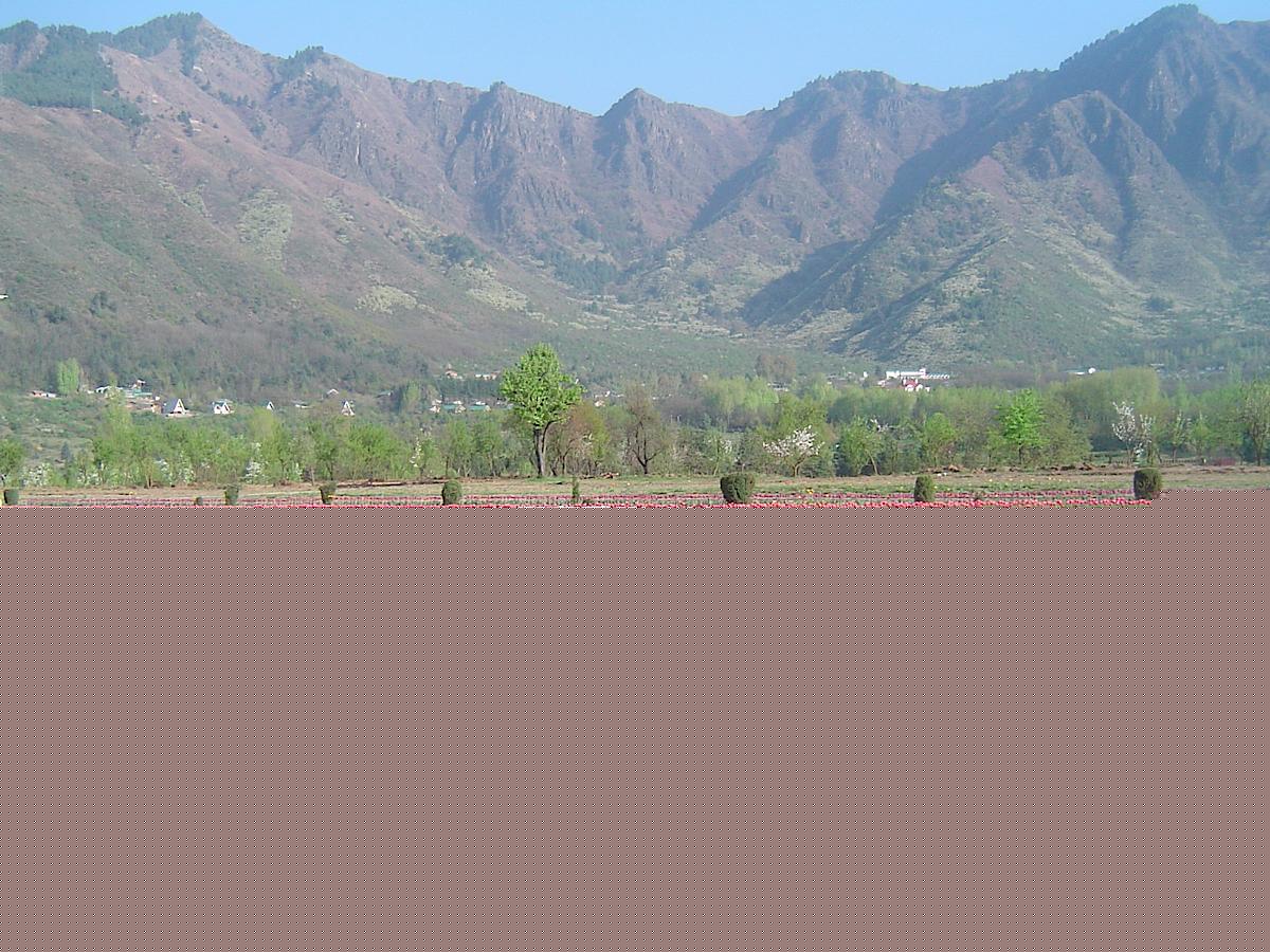 AN ANALYSIS OF VIEWER PREFERENCE FOR INDIAN URDU-LANGUAGE TELEVISION CHANNELS AMONG THE INHABITANTS OF KASHMIR VALLEY: A STUDY