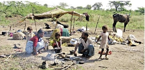 दलित कथेमधून आलेले भटक्या - विमुक्तांचे जीवनचित्रण 