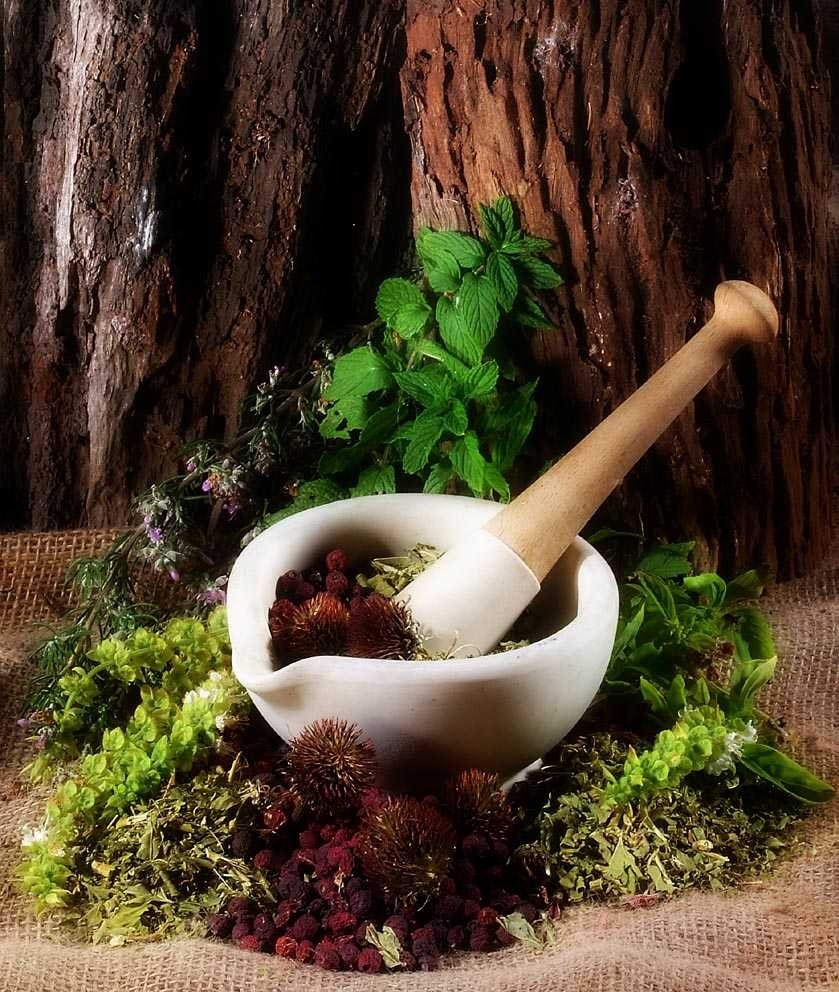 PSYCHIATRY IN AYURVEDA