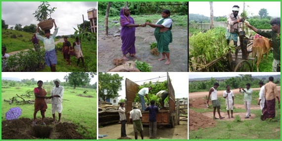 AN ACCOUNT OF TRIBAL DEVELOPMENT IN THE NORTH-EAST