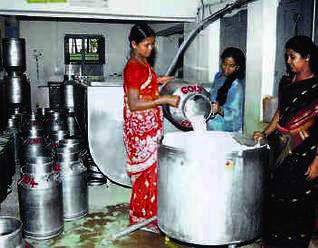 IMPACT OF MICRO FINANCE ON RURAL DAIRY ENTERPRISES WOMEN IN ANDHRA PRADESH