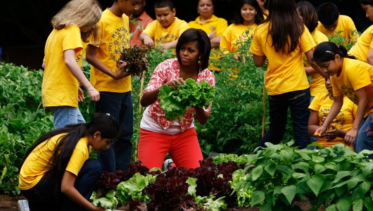 ENVIRONMENTAL EDUCATION: NEED OF THE HOUR