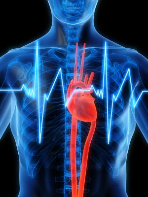 DIFFERENT TIMES OF THE DAY AND RECOVERY OF  HEART RATE AND RESPIRATORY RATE AFTER WORKOUT –  A COMPARISON