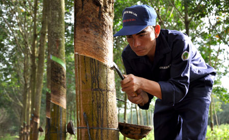 “PRODUCTION AND MARKETING STRATEGIES FOLLOWED BY RUBBER GROWERS IN GOALPARA DISTRICT OF ASSAM: A STUDY BASED ON RUBBER PLANTATION” “PRODUCTION AND MARKETING STRATEGIES FOLLOWED BY RUBBER GROWERS IN GOALPARA DISTRICT OF ASSAM: A STUDY BASED ON RUBBER PLANTATION”