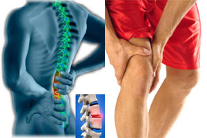 THE IMPACT OF A SELECTED RESISTANCE PROGRAM ON THE STRENGTH OF THE MUSCLES AROUND THE HIP THE IMPACT OF A SELECTED RESISTANCE PROGRAM ON THE STRENGTH OF THE MUSCLES AROUND THE HIP