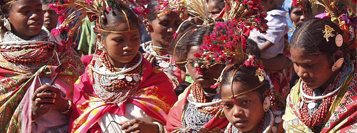 INSIGNIFICANT ECONOMIC DEVELOPMENT OF TRIBAL WOMEN –WITH REFERENCE TO KANKER DISTRICT OF CHHATTISGARH