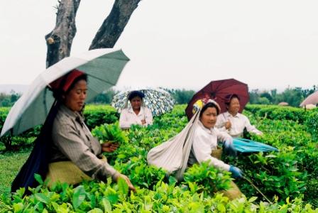 ROLE OF WOMEN IN SUSTAINABLE DEVELOPMENT