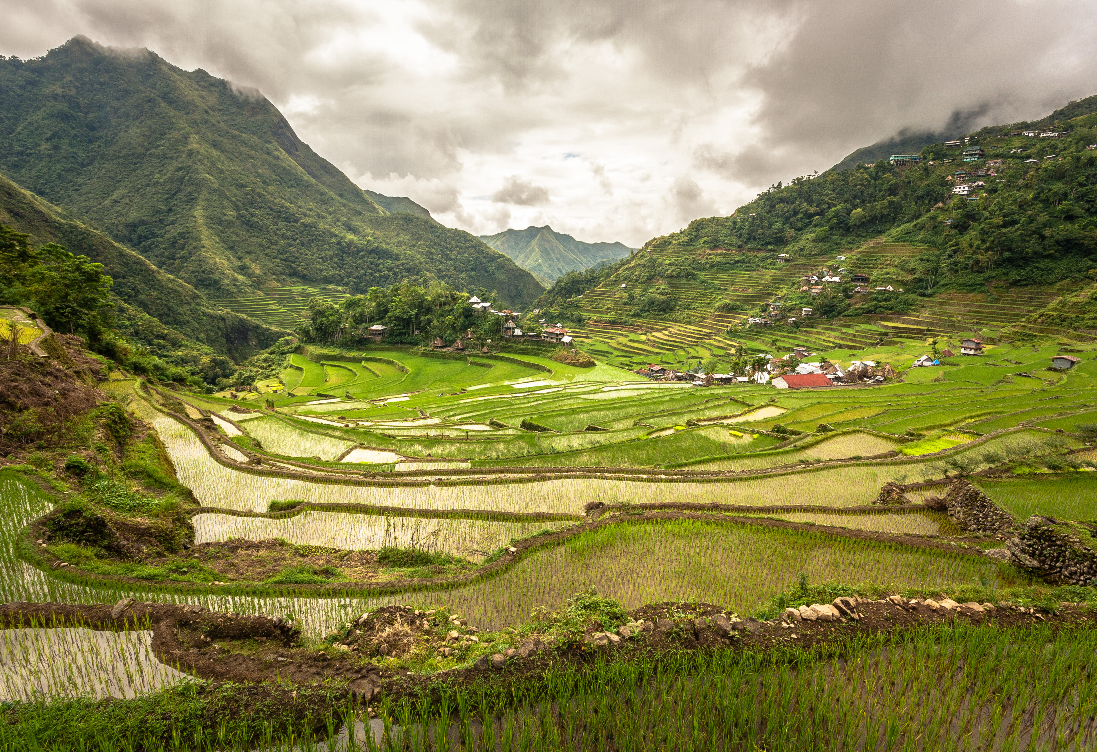 VULNERABILITY – A NEW CONCEPT TOWARDS A SUSTAINABLE ENVIRONMENT