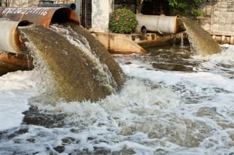 EFFECT OF TOXIC POLLUTANTS ON HUMANS