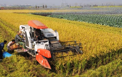 MODERNIZATION OF AGRICULTURE IN MARATHWADA REGION