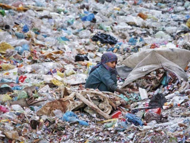 STATUS OF HOUSEHOLD SOLID WASTE GENERATION IN VIDHATA  NAGAR, BATHINDI, JAMMU