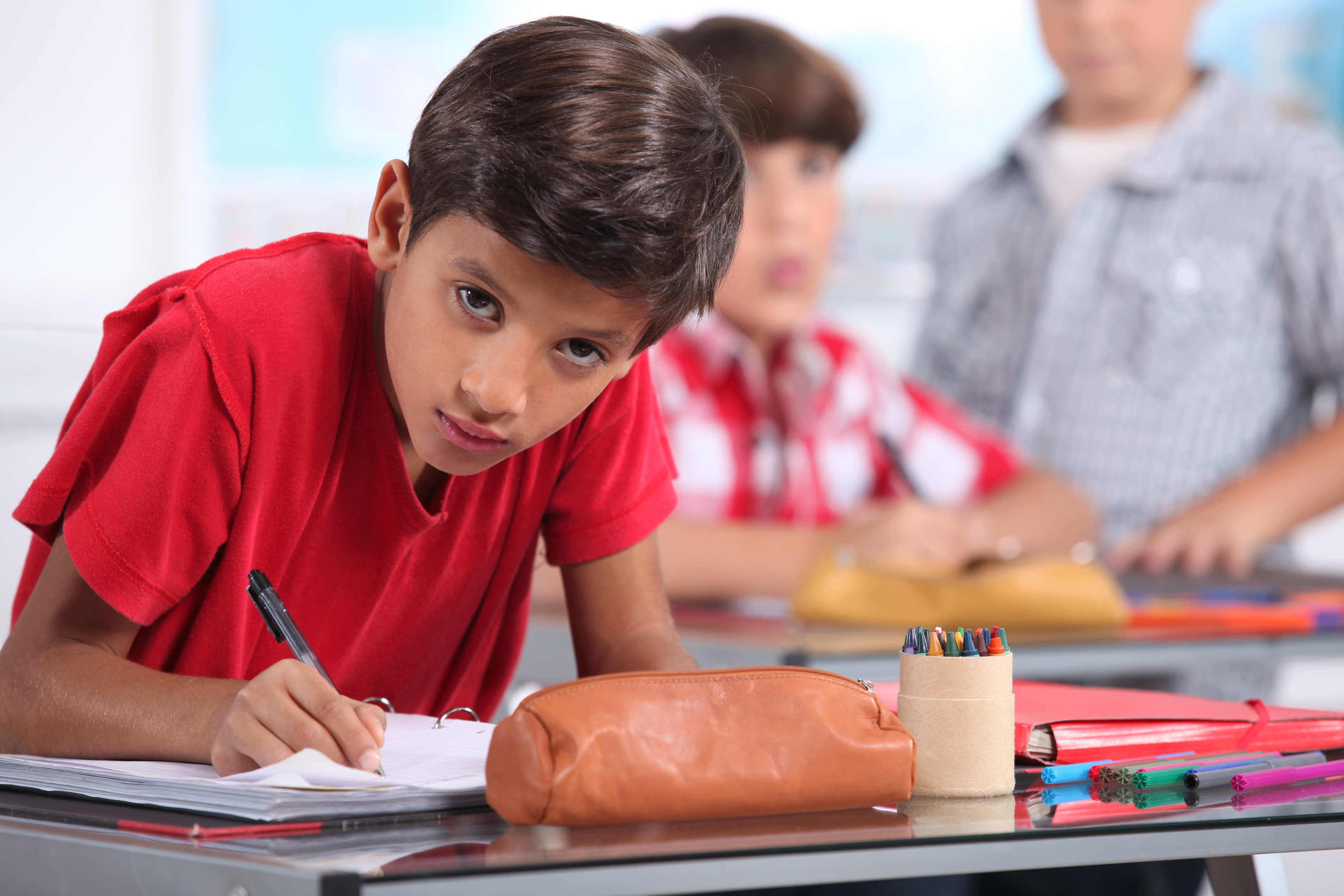 DEVELOPMENT OF AN ENVIRONMENTAL SENSITIVITY  SCALE FOR SECONDARY SCHOOL STUDENTS