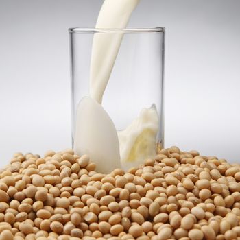 EFFECTIVE BIO-CONVERSION OF SOYA SLUDGE FROM  SOYA MILK MANUFACTURING UNIT BY  VERMICOMPOSTING