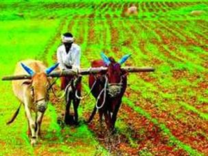एकविसाव्या शतकातील भारतीय शेतीक्षेत्रापुढील आव्हाने