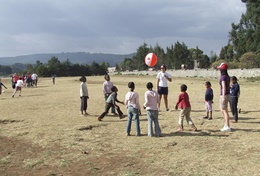 A STUDY OF UTILITY OF SERVICES OF PHYSICAL  EDUCATION TEACHERS AT SCHOOL