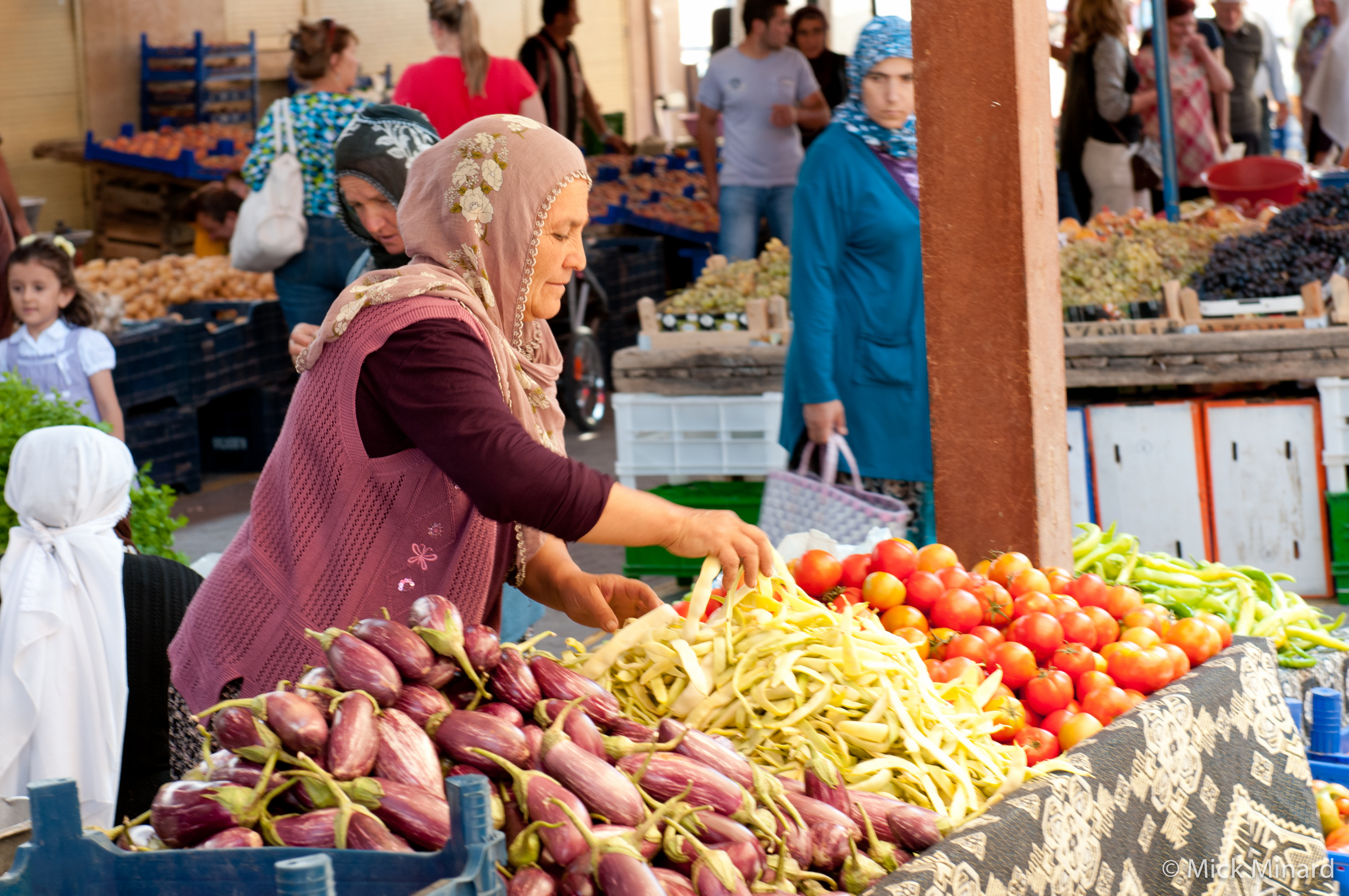 THE EMPOWERMENT OF IRANIAN WOMEN: AN  IMPERATIVE ISSUE OF THE SOCIO-POLITICAL DEVELOPMENT  OF THE NATION.