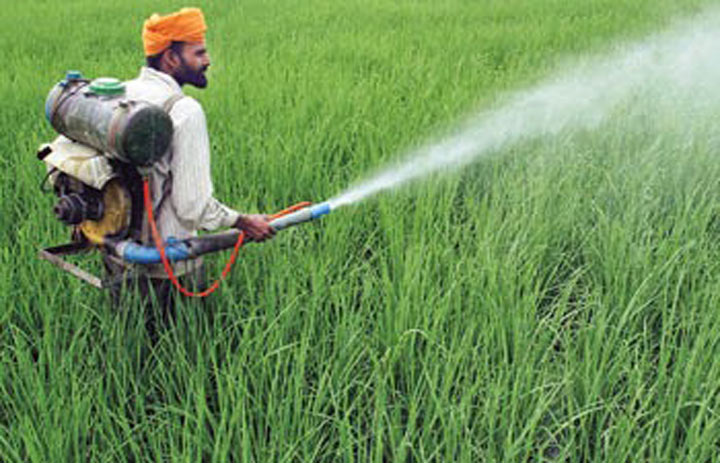 विषैले रसायनों का शिकार हमारा स्वास्थ्य
