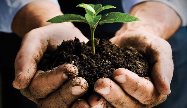 ENVIRONMENTAL IMPACT ASSESSMENT A REVIEW