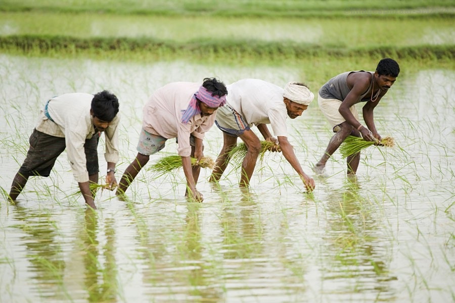SOCIO-ECONOMIC STUDY OF AGRICULTURAL LABOUR : A CASE STUDY OF MALSHIRAS TALUKA OF SOLAPUR DISTRICT SOCIO-ECONOMIC STUDY OF AGRICULTURAL LABOUR : A CASE STUDY OF MALSHIRAS TALUKA OF SOLAPUR DISTRICT
