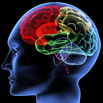IMPACT OF INTEGRAL PSYCHOLOGICAL PRACTICES FOR  COGNITIVE DEVELOPMENT