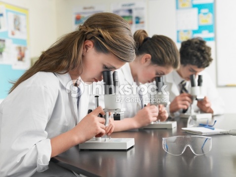 EFFECTIVENESS OF CONCEPT MAPPING  STRATEGY OF TEACHING SCIENCE ON ACHIEVEMENT  IN BIOLOGY OF SECONDARY SCHOOL STUDENTS