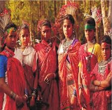 जळगाव, धुळे आणि नंदूरबार जिल्हयातील आदिवासी उपयोजनेच्या प्रगतीचे मूल्यांकन