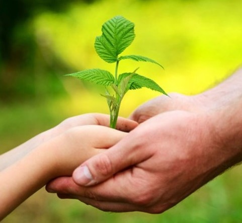 A STUDY ON CORPORATE SOCIAL RESPONSIBILITY ROLE  IN SUSTAINABLE DEVELOPMENT OF INDIA