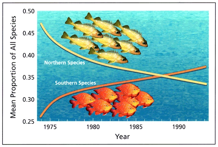 DIVERSITY AND ABUNDANCE OF ZOOPLANKTON  IN HATTIKUNI RESERVOIR, YADGIR DISTRICT, KARNATAKA