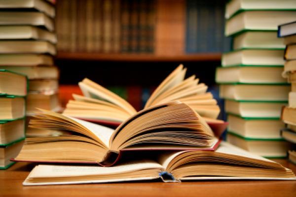 REFLECTION OF SOCIAL ACTION: LITERATURE AS  A SOURCE OF HISTORY