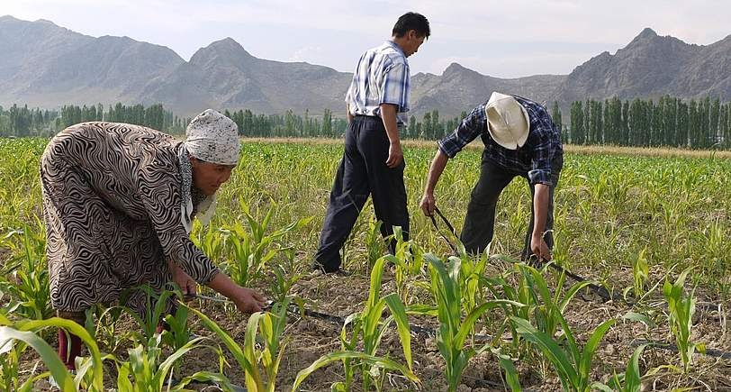 STRUCTURAL CHANGES IN THE RURAL ECONOMY OF  ARALAMALLIGE VILLAGE- A GEOGRAPHICAL ANALYSIS